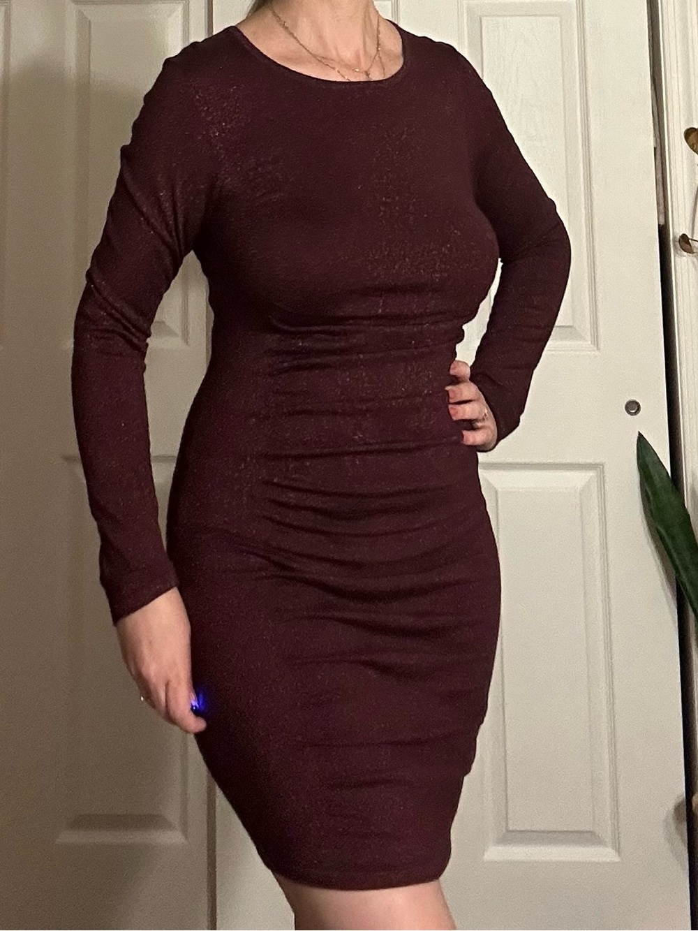 Express Long Sleeve Bodycon Dress in Deep Wine